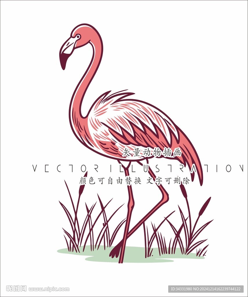 火烈鳥(niǎo)