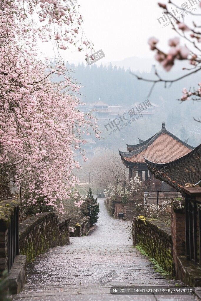 櫻花小鎮(zhèn)櫻花