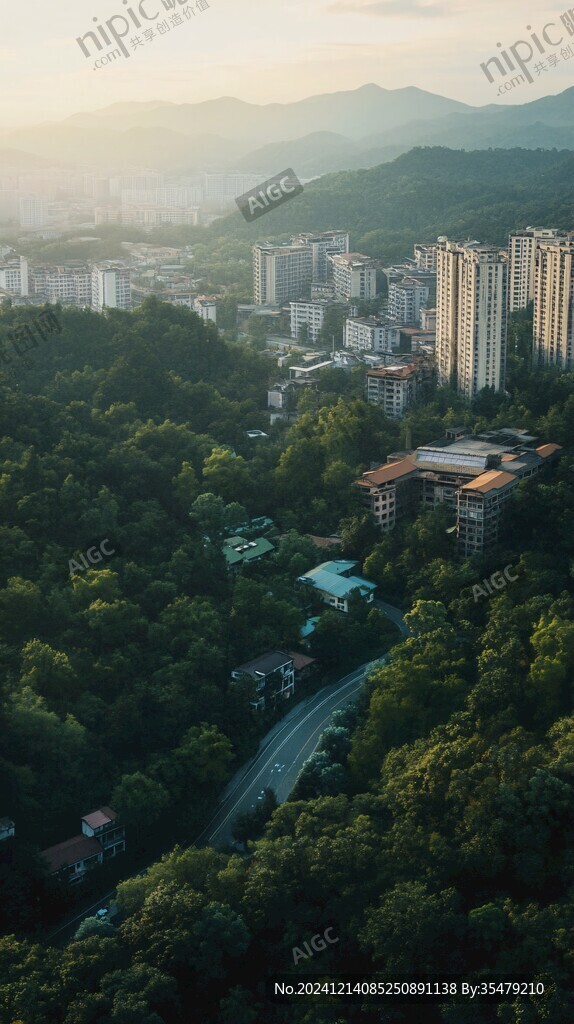 密集房屋綠色山林樹木