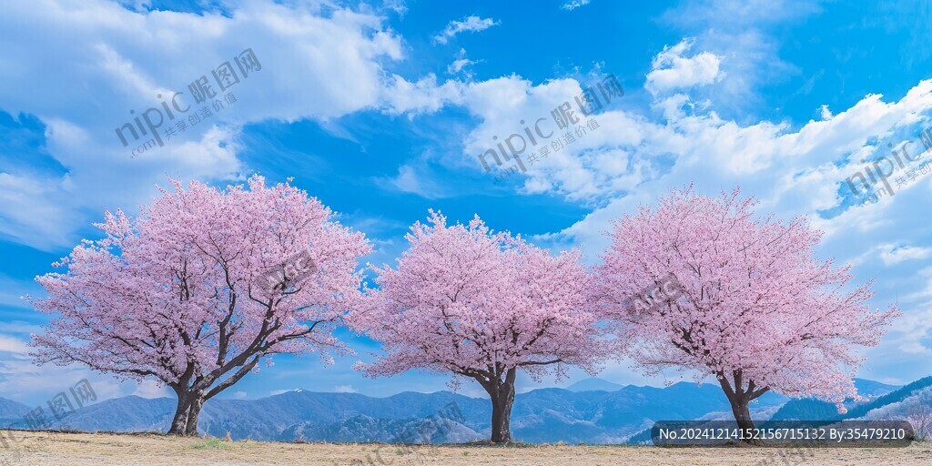 兩行桃花樹