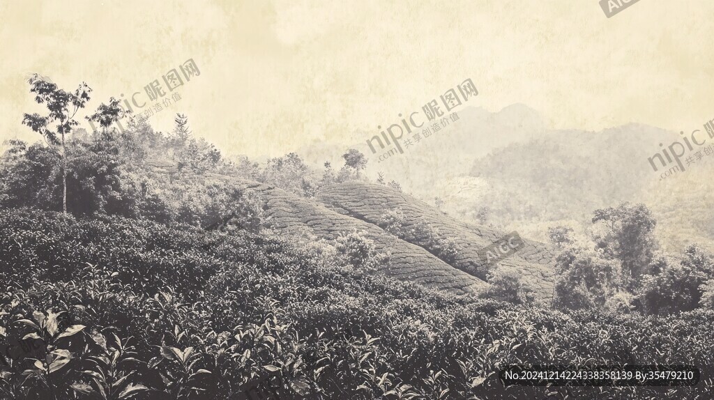 茶山背景