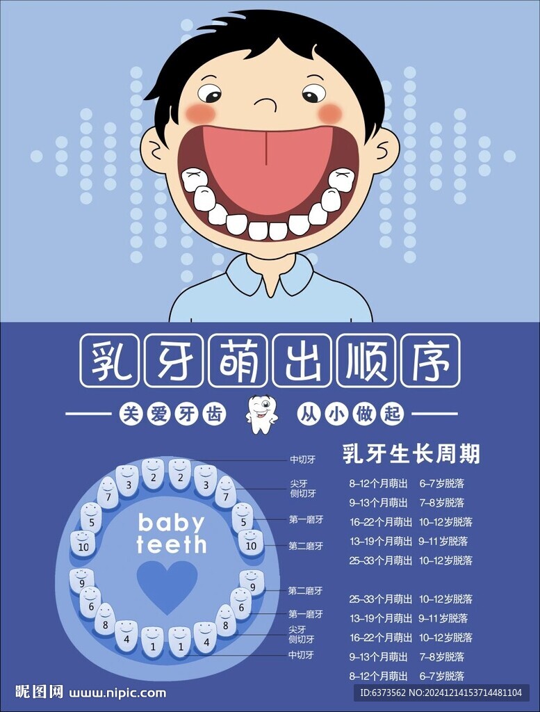 乳牙萌出順序