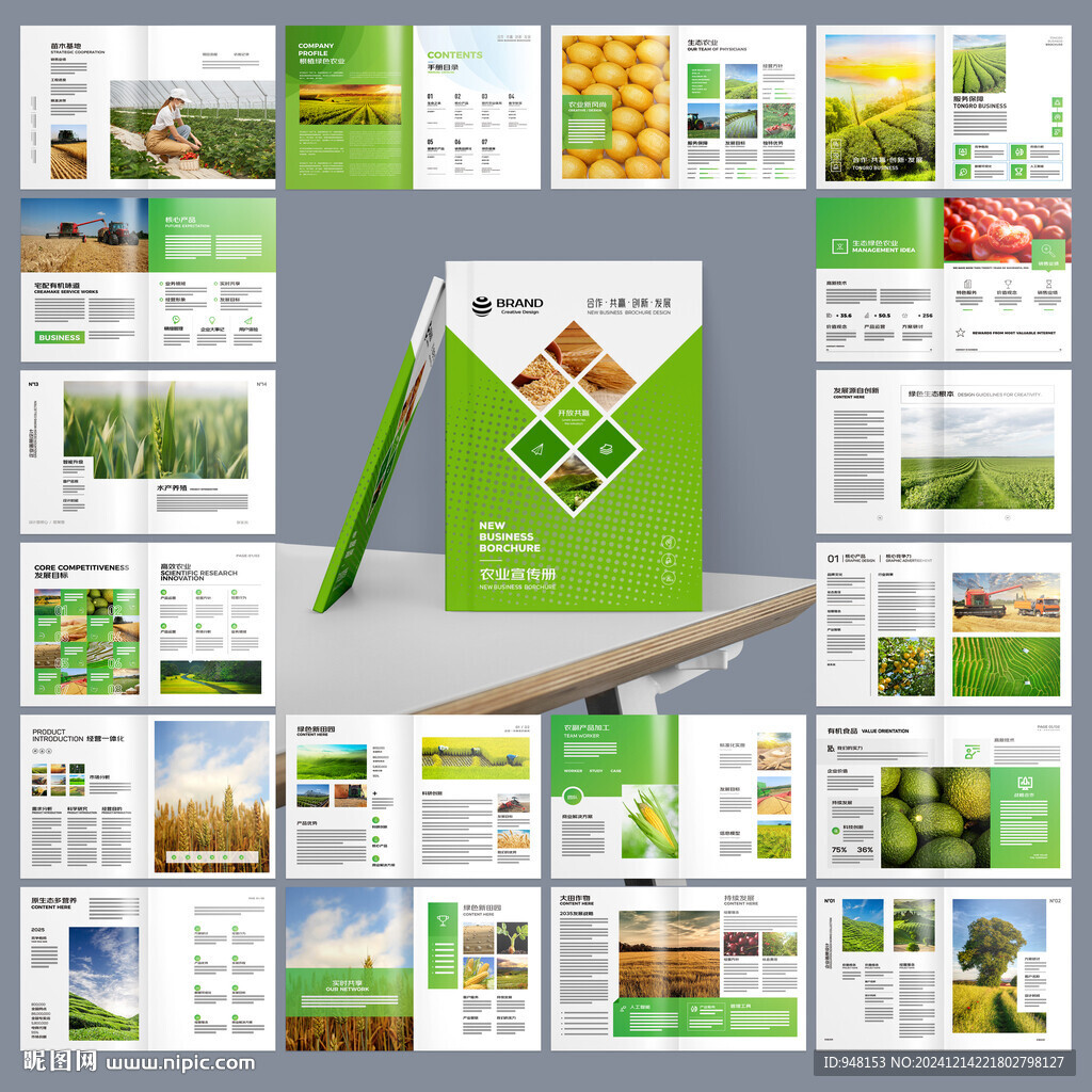 農(nóng)業(yè)合作社畫冊