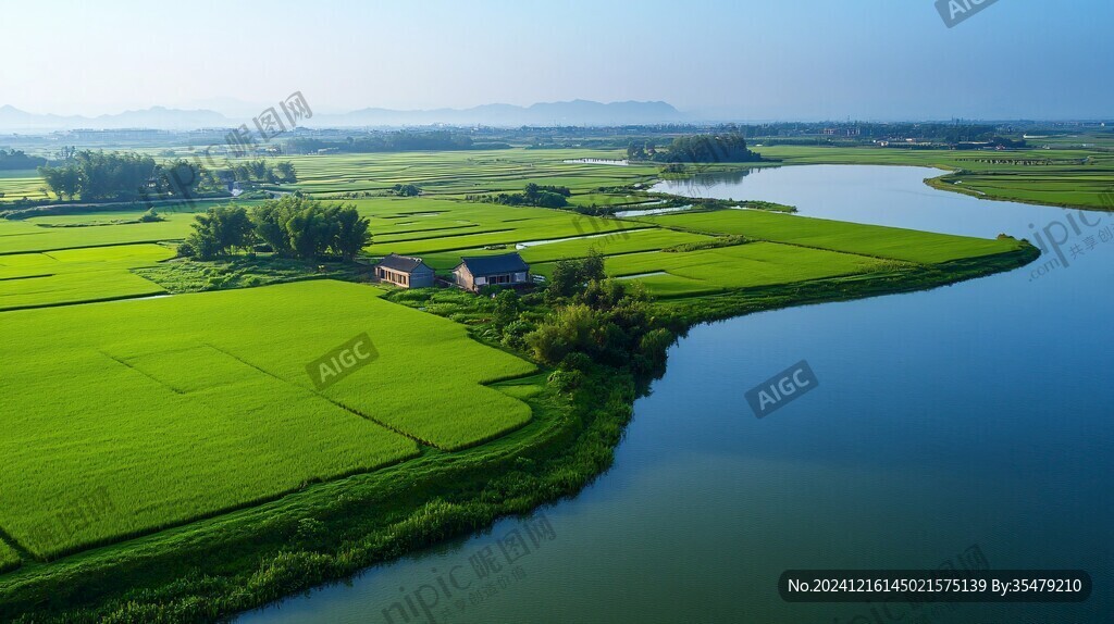 高清鄉(xiāng)村稻天