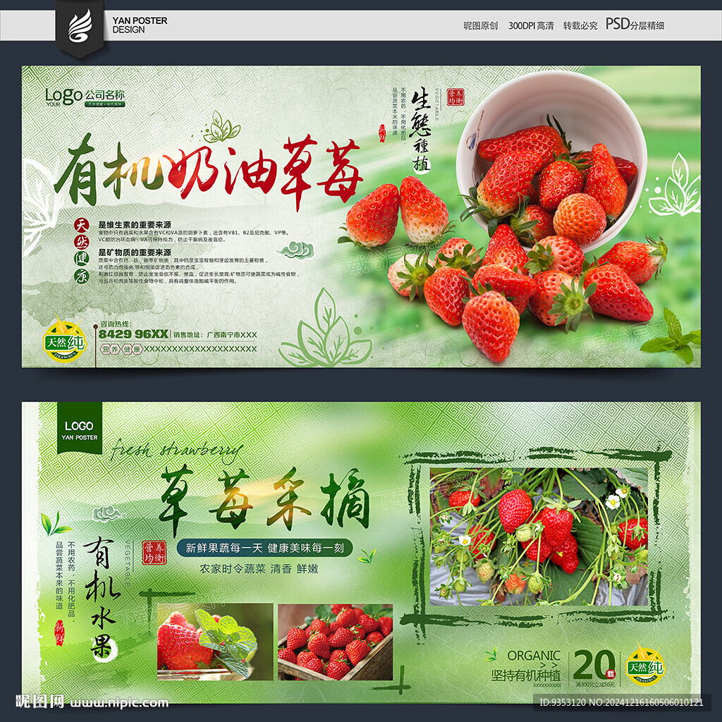草莓采摘