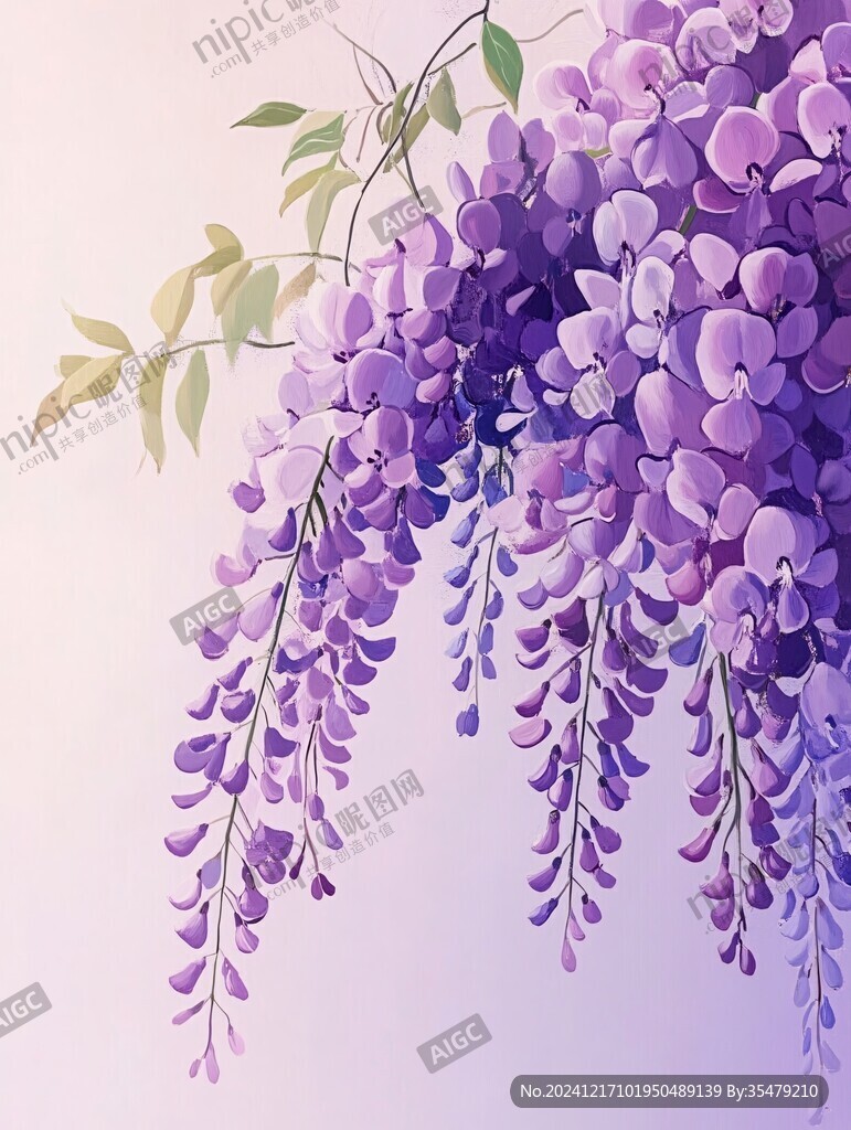 紫藤花插畫
