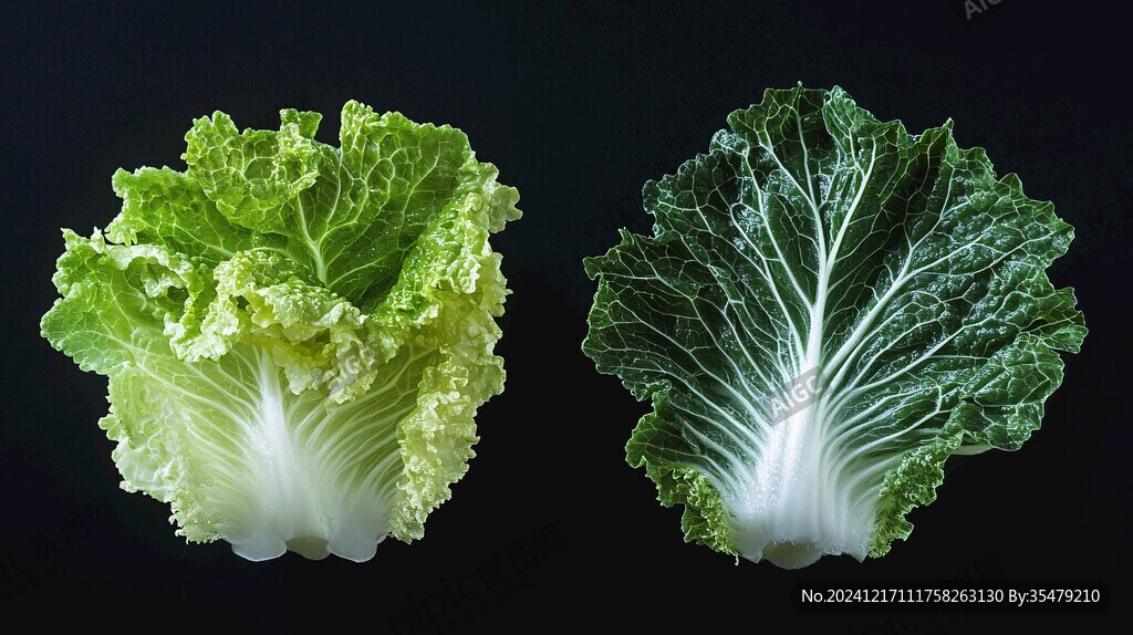 兩顆依偎著的大白菜
