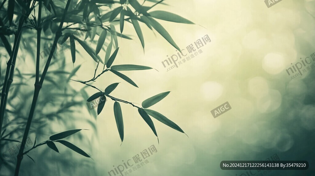 翠竹前景虛化