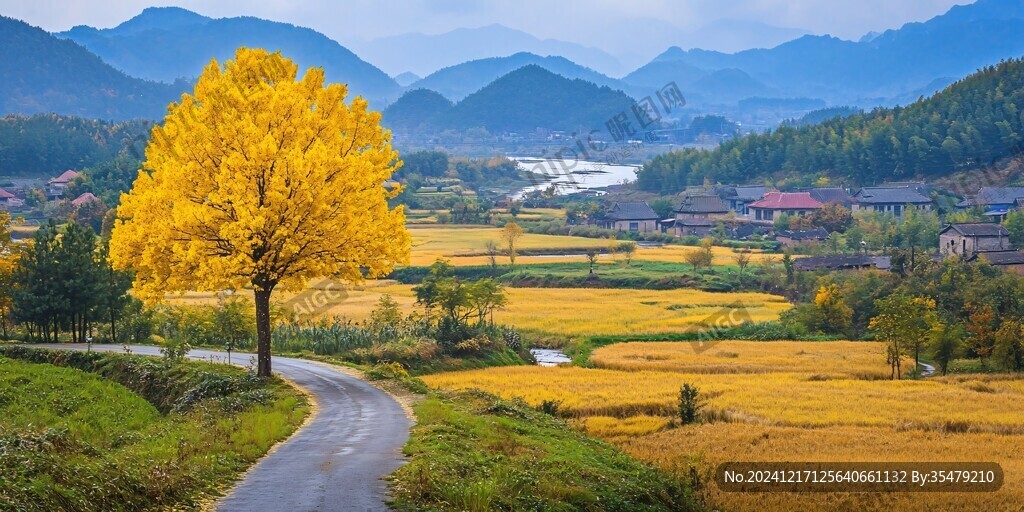 秋韻村莊田園風(fēng)光風(fēng)景