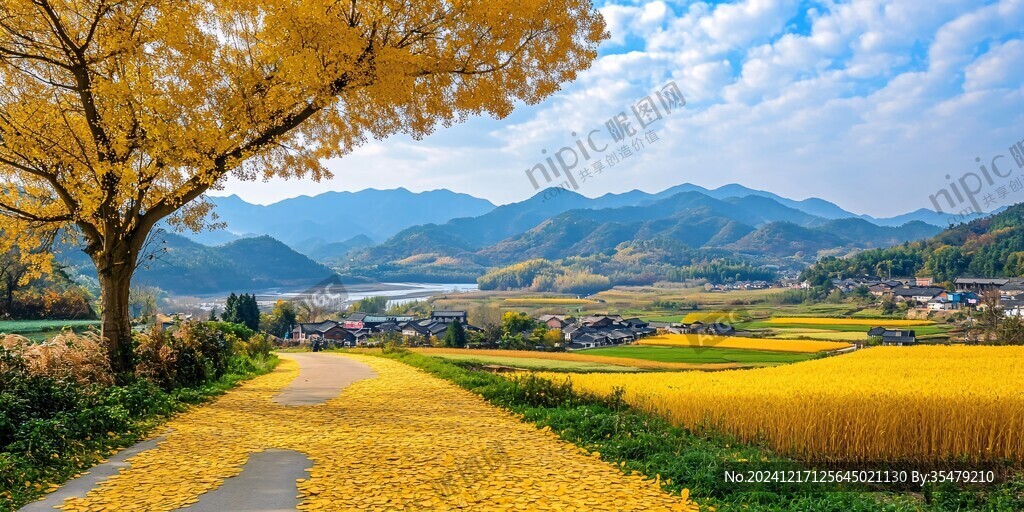 金色秋天鄉村田野風景