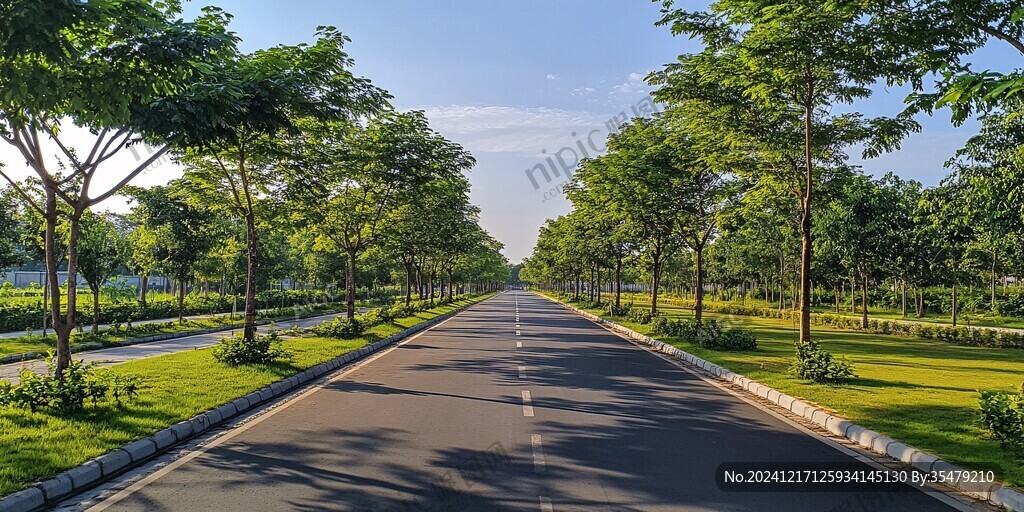 道路綠化風光