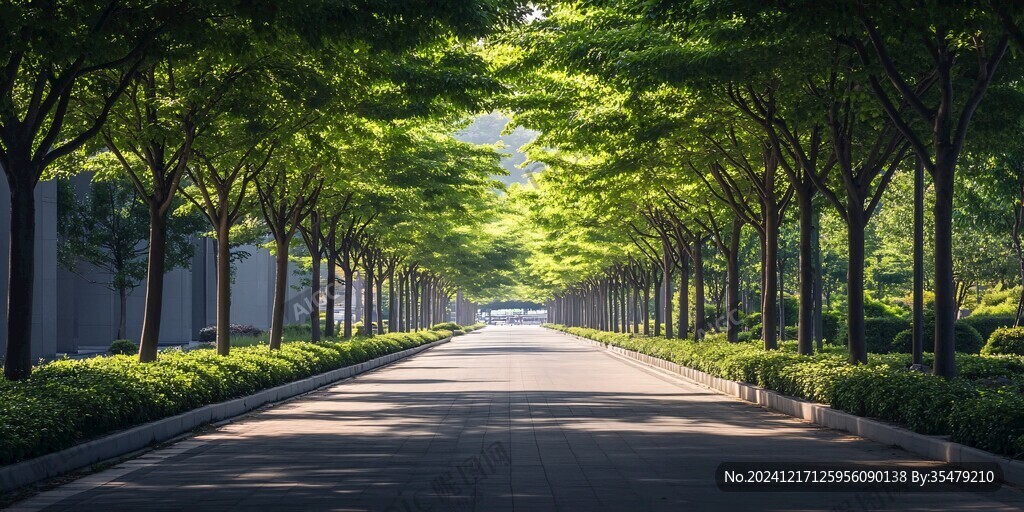 綠蔭大道