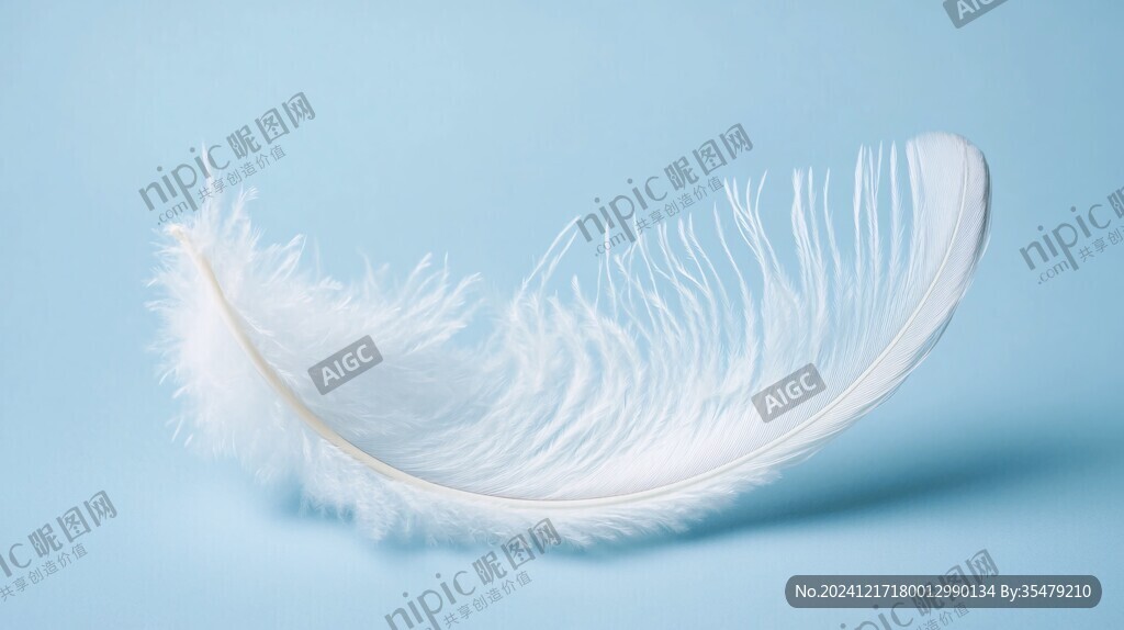 一只鵝毛