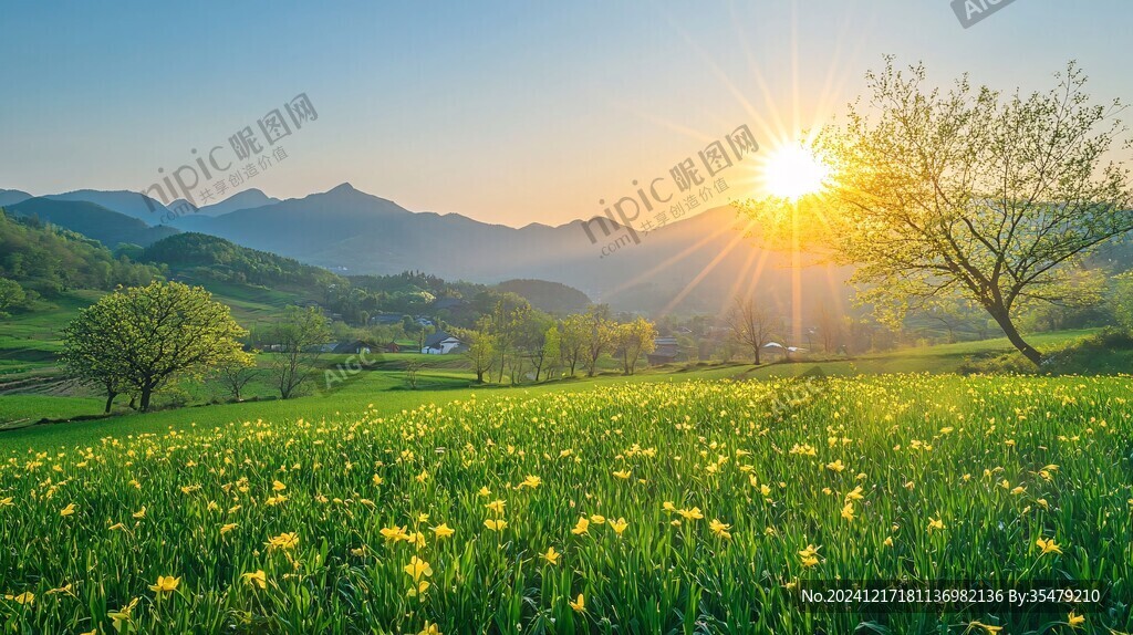 高山草甸日出