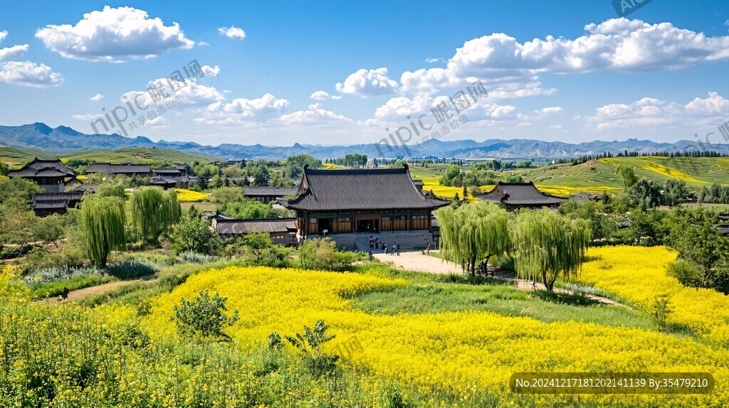 仿古建筑與油菜花