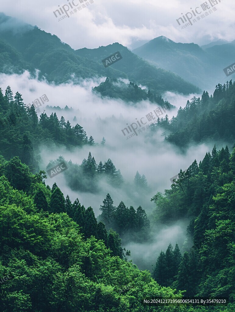 森林云霧山嵐