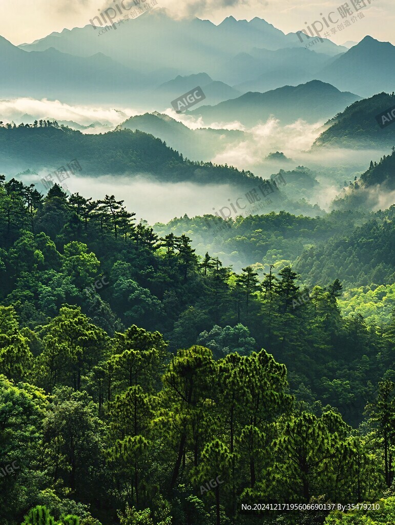 井岡晨霧