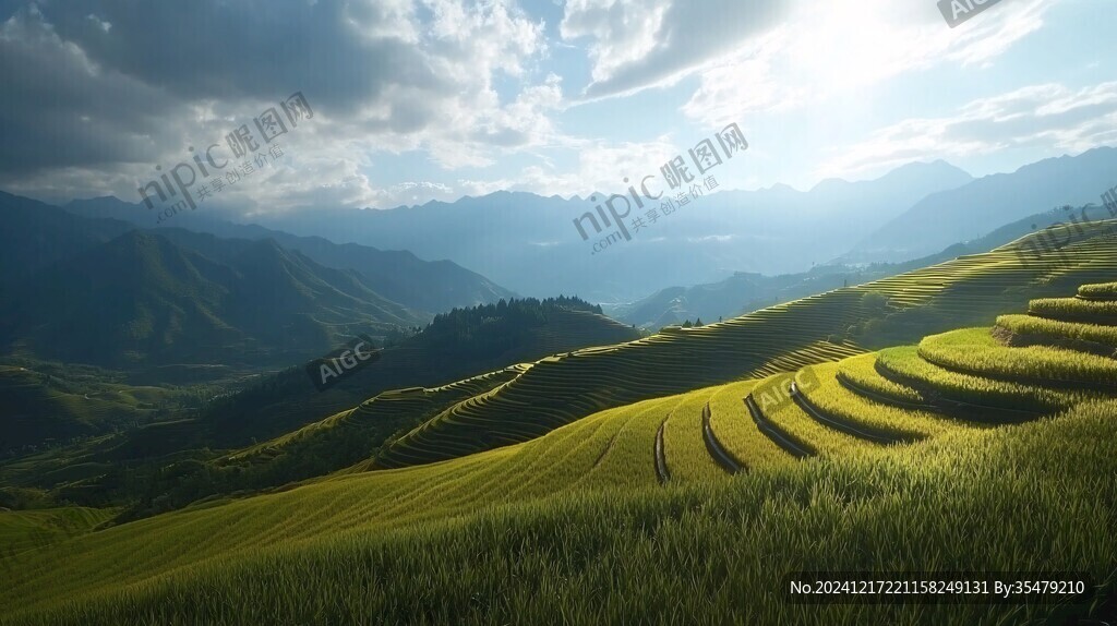 梯田寬幅風景