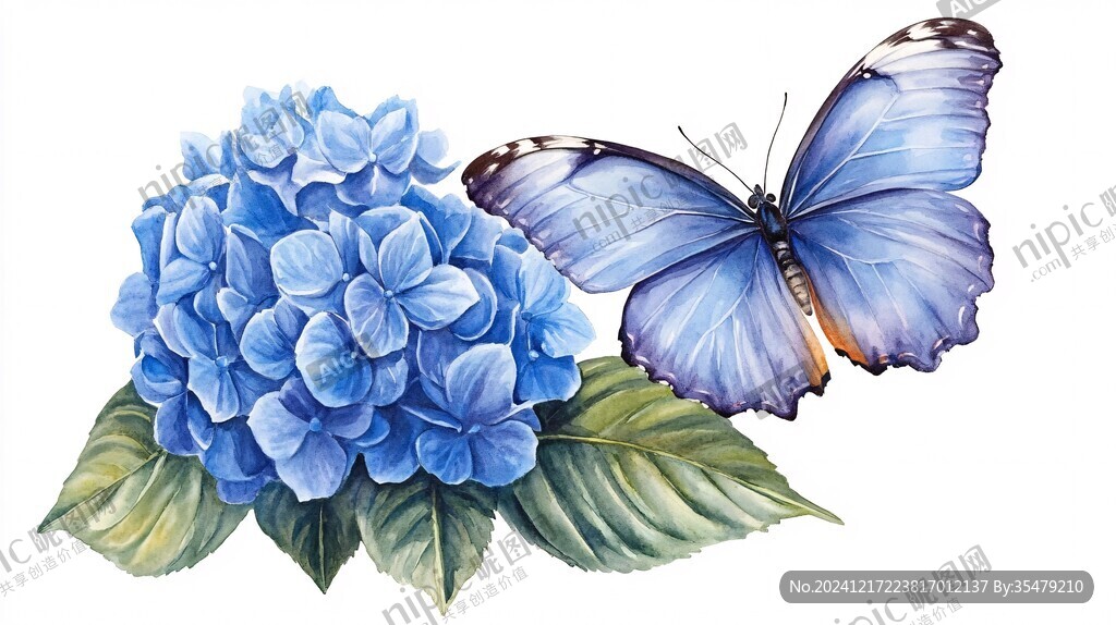 藍色蝴蝶插畫