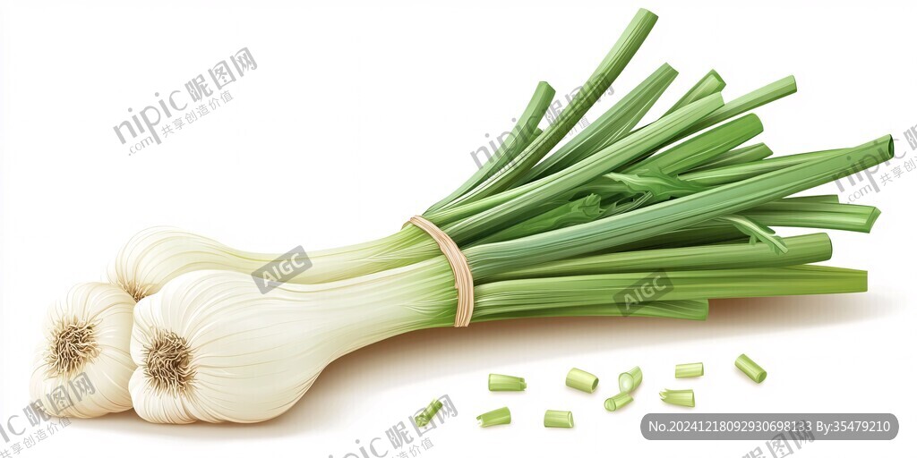 手繪香蔥插畫(huà)