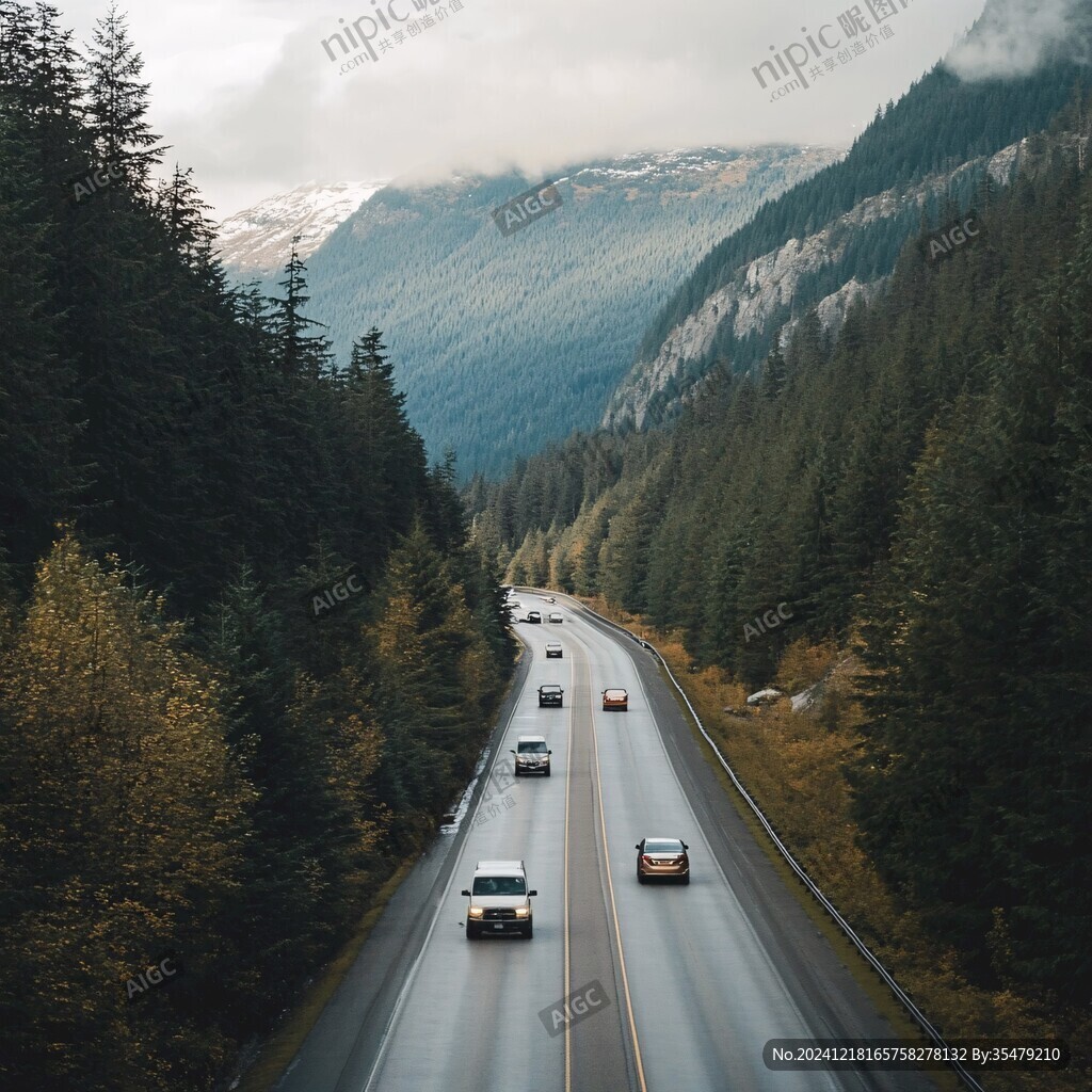 山林樹木道路交通