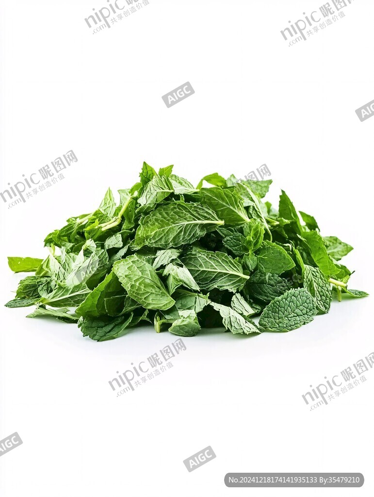 高清手繪薄荷