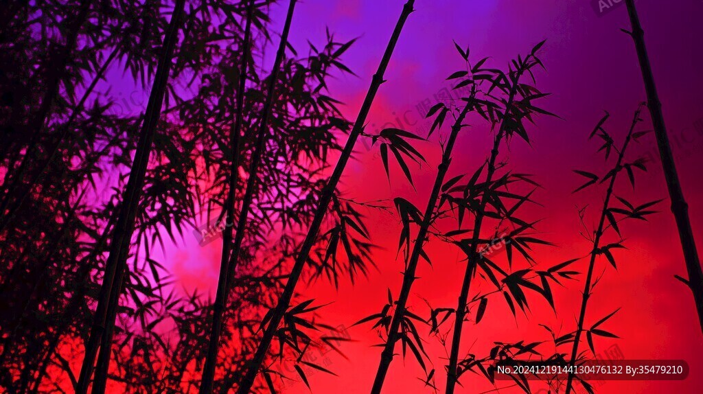 竹林晚霞