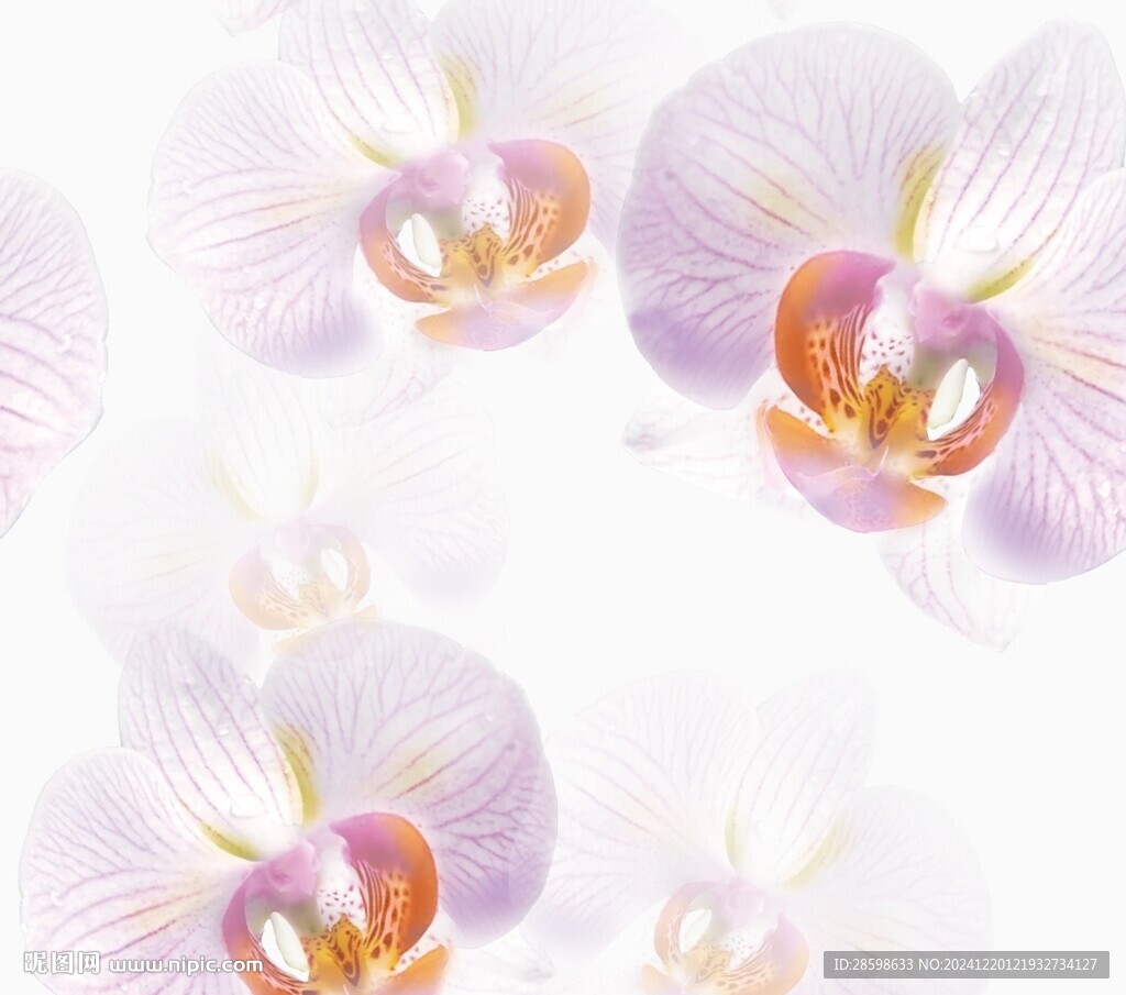 花卉