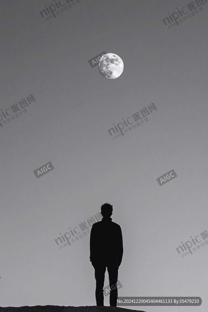 望月球