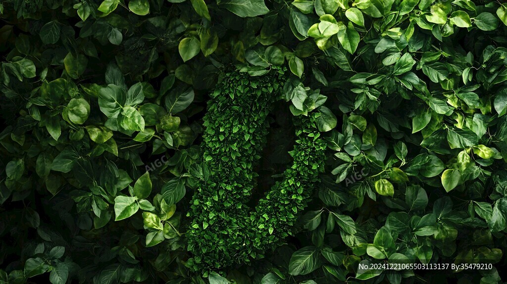 綠植字5