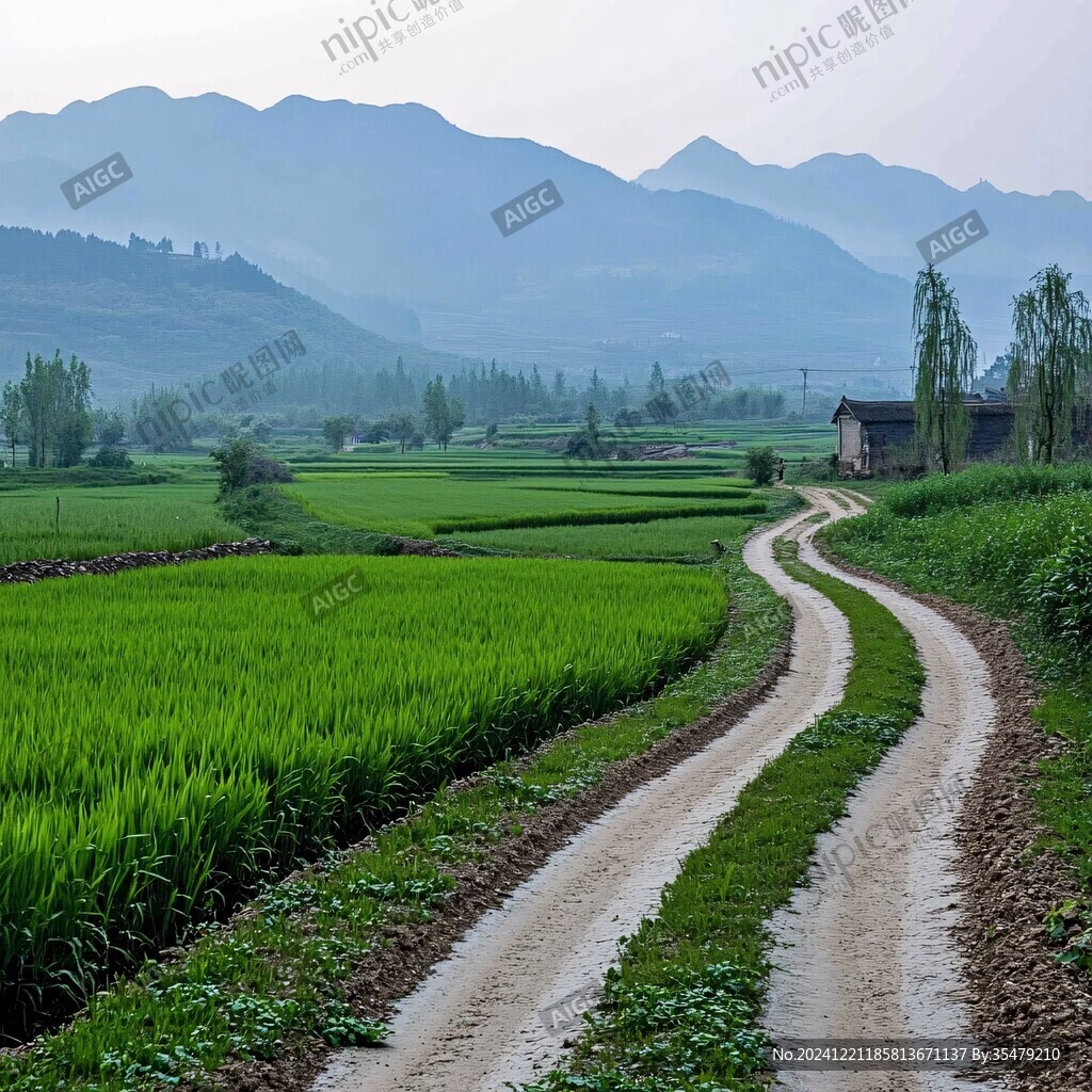 農(nóng)田鄉(xiāng)村小路田園風(fēng)光