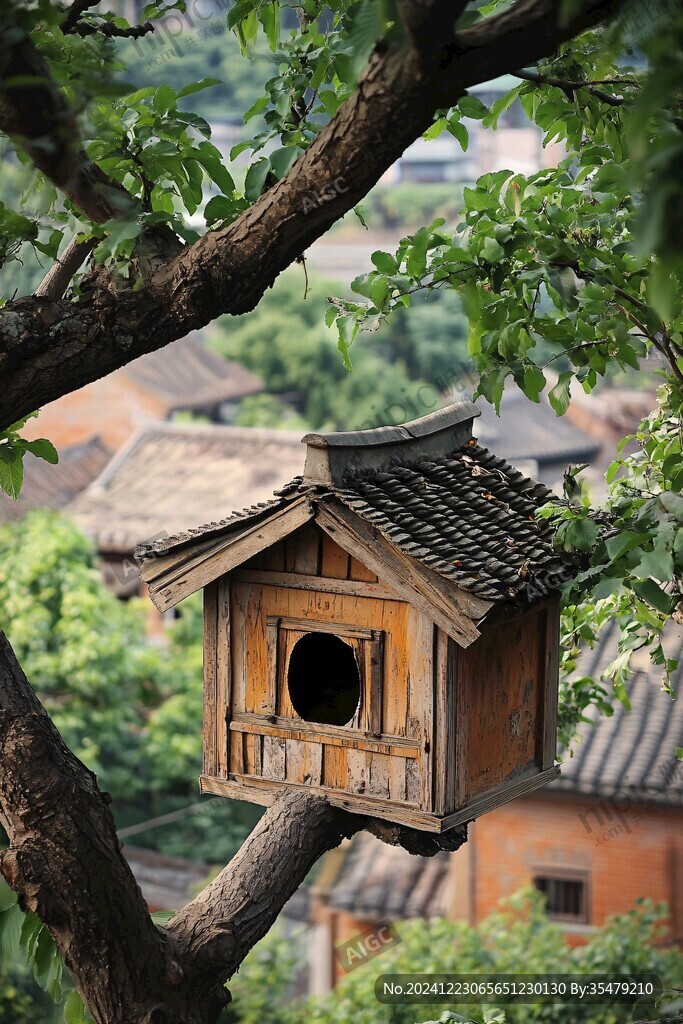 院落尋食小鳥(niǎo)