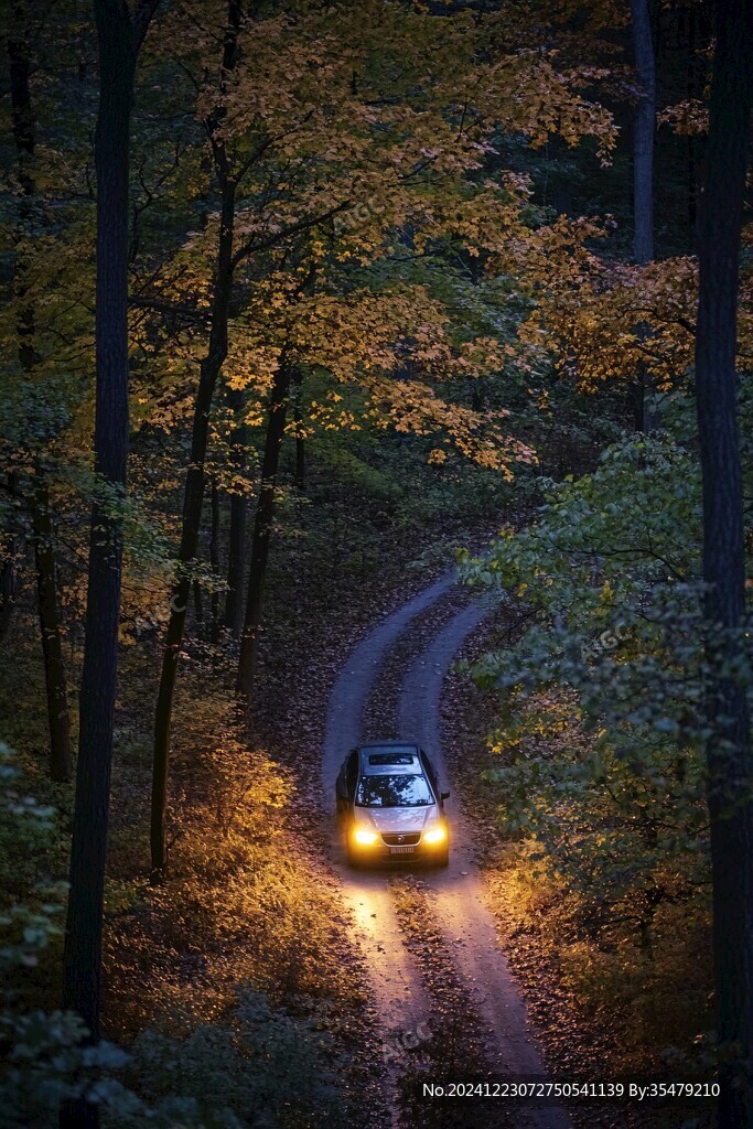 林間行車