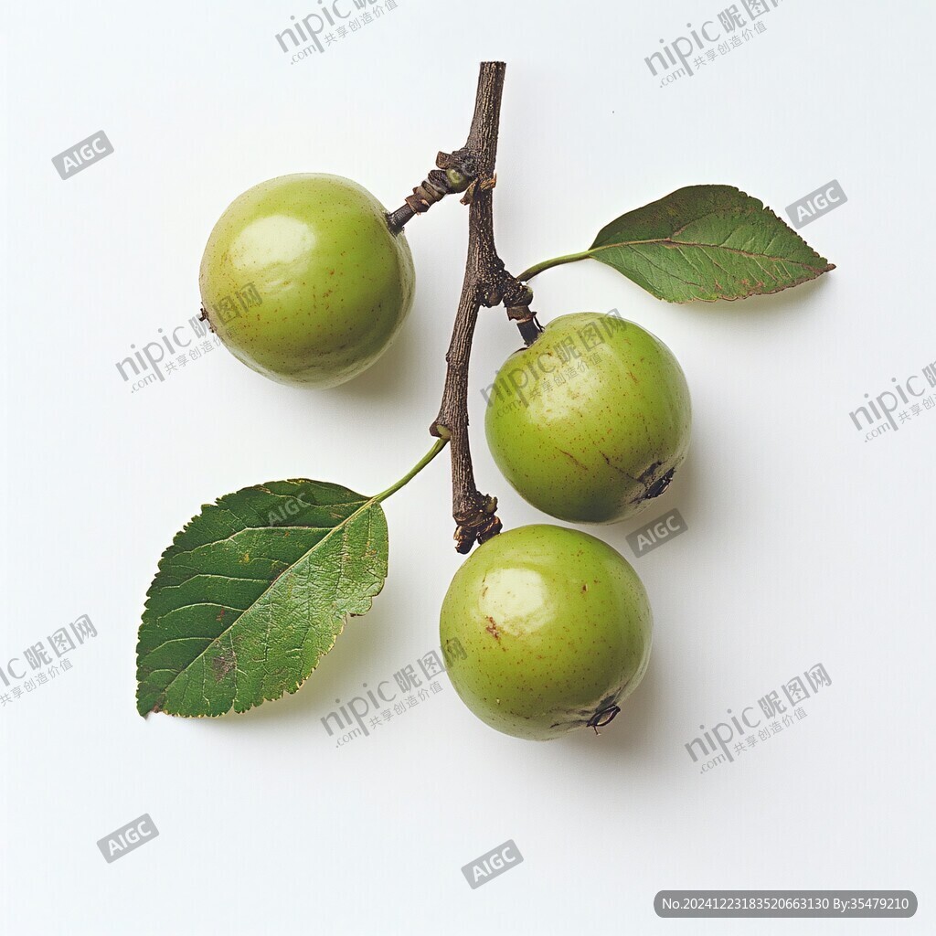青梅果棚拍青果