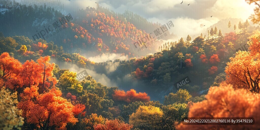森林金秋山谷云霧