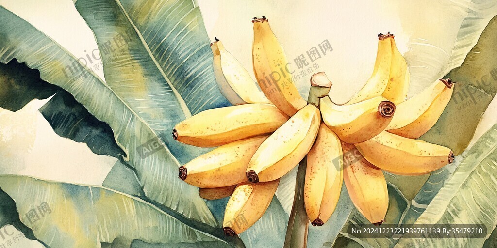 小米蕉插畫