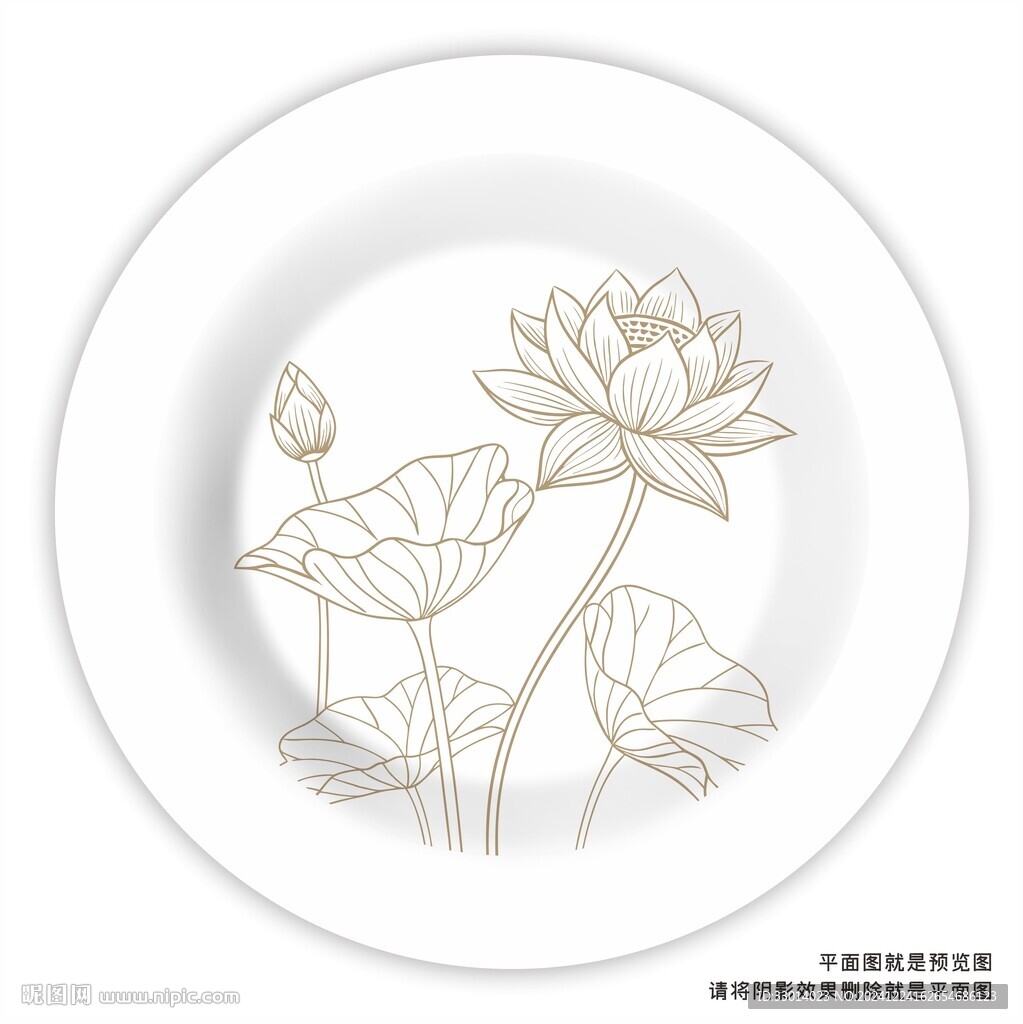 線描荷花插畫
