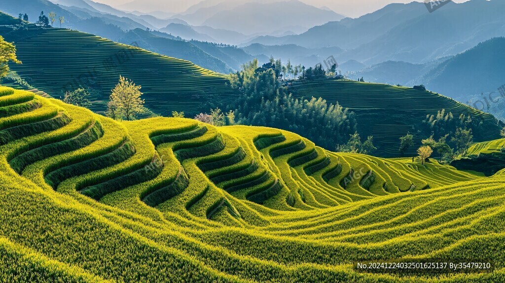 陽光龍脊