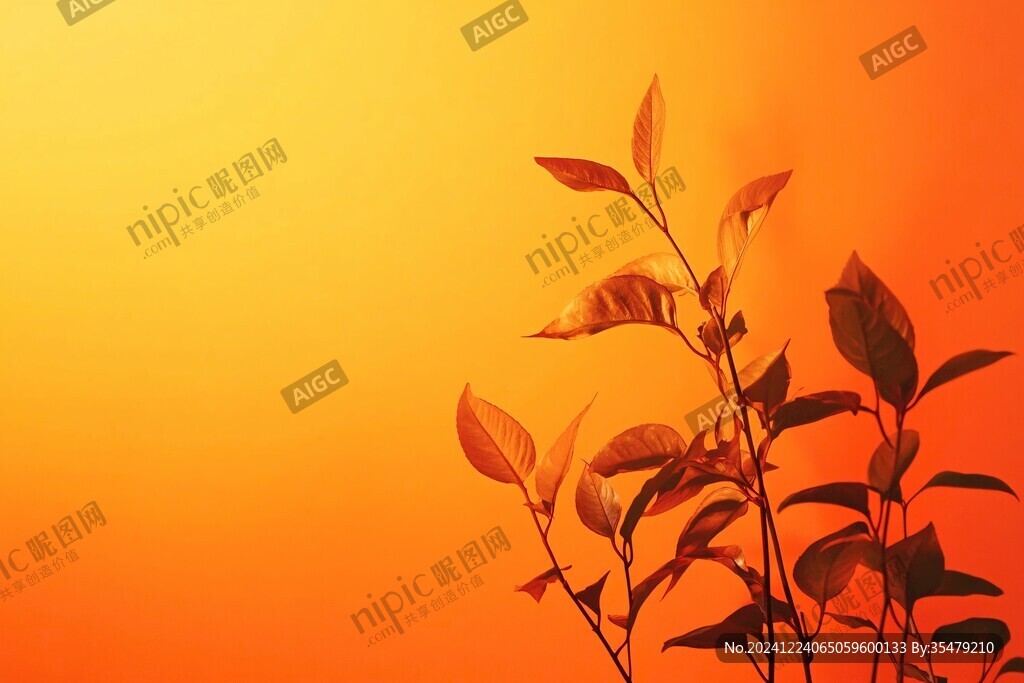 黃昏植物