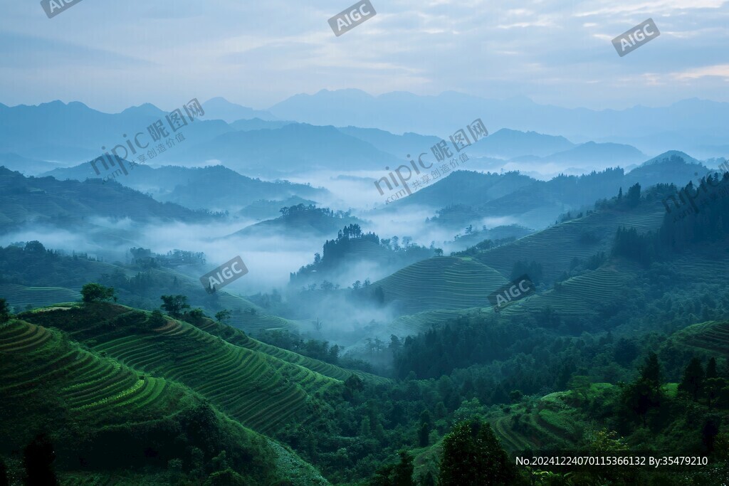 茶山曉霧