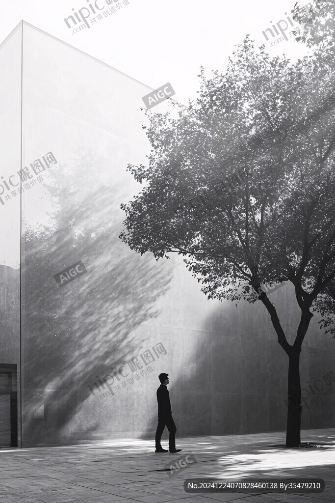 灰磚樹影