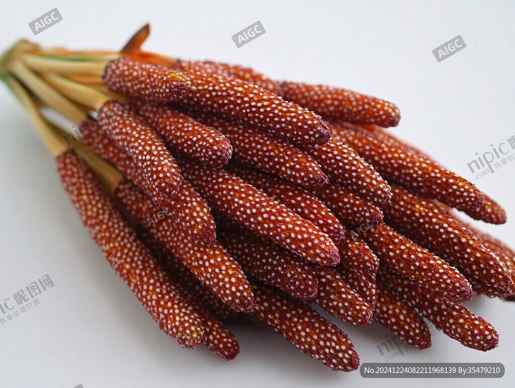 紅高粱高粱穗