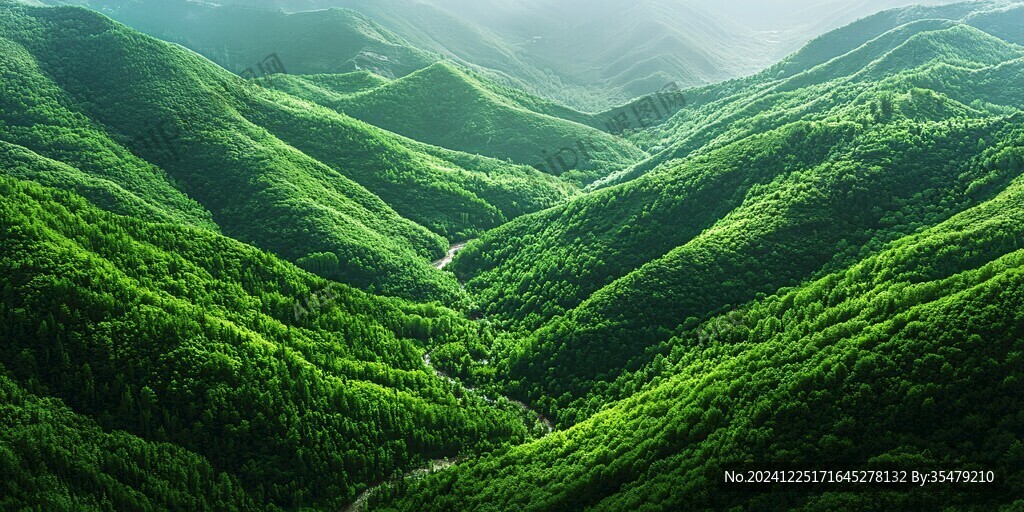 綠色山林背景素材