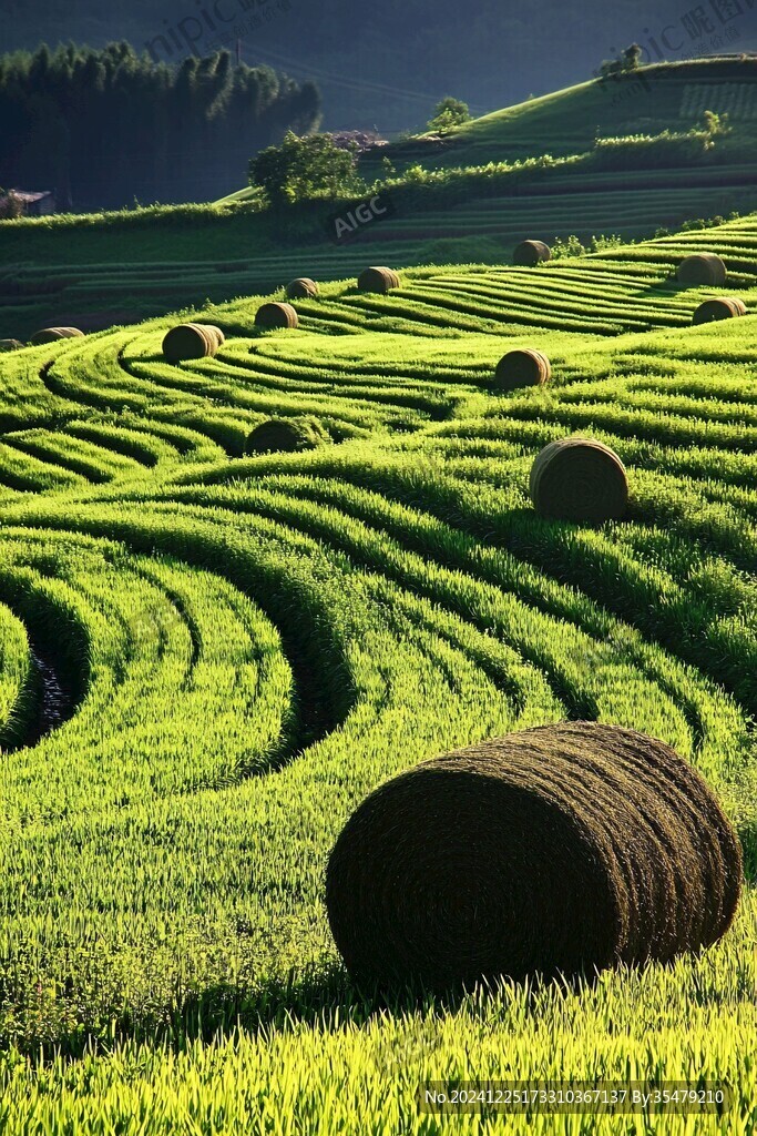 捆草素材