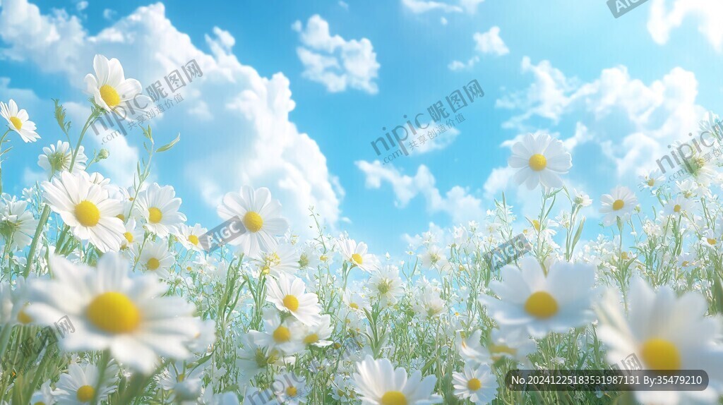 唯美夢幻花田場景
