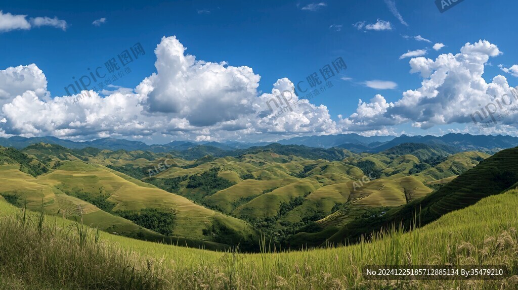 江布拉克刀條嶺全景圖