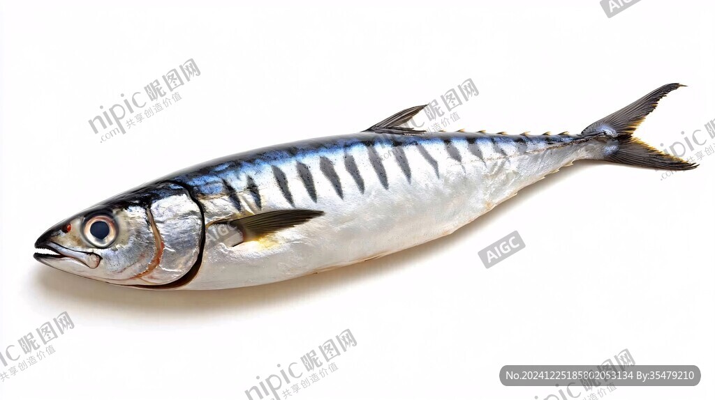 鰩魚(yú)高清圖片