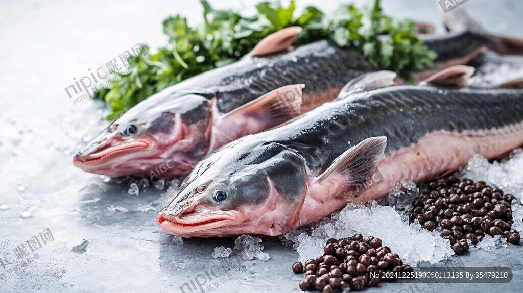 冰鮮魚品類