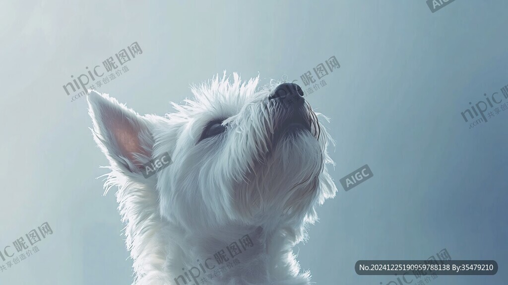 卡通狗狗壁紙