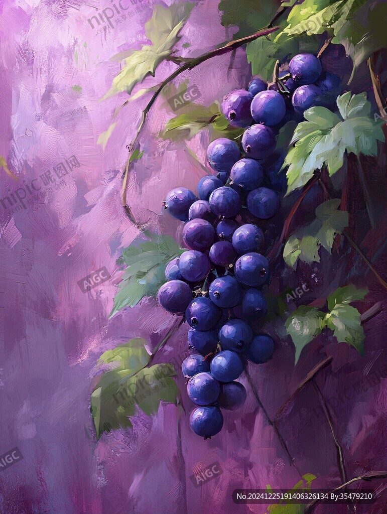 原創(chuàng)葡萄插畫